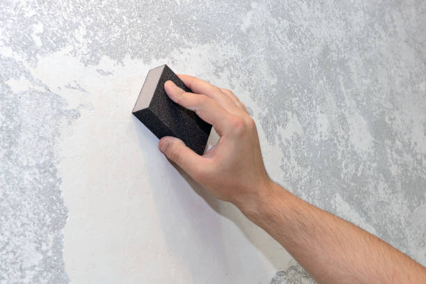Best Water Damage & Mold Remediation  in Jerome, IL