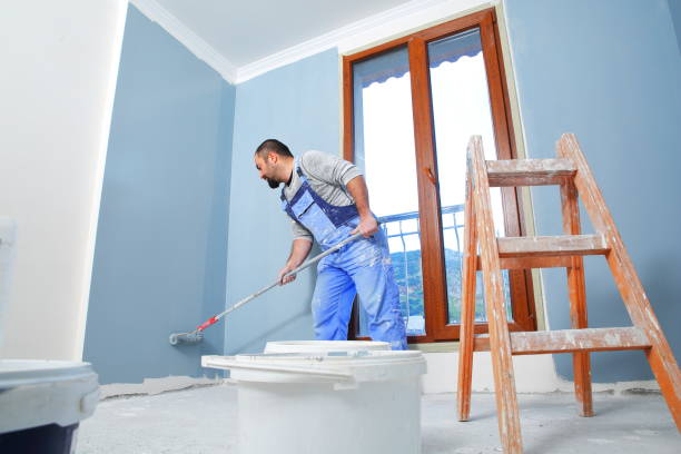 Biohazard Mold Removal in Jerome, IL