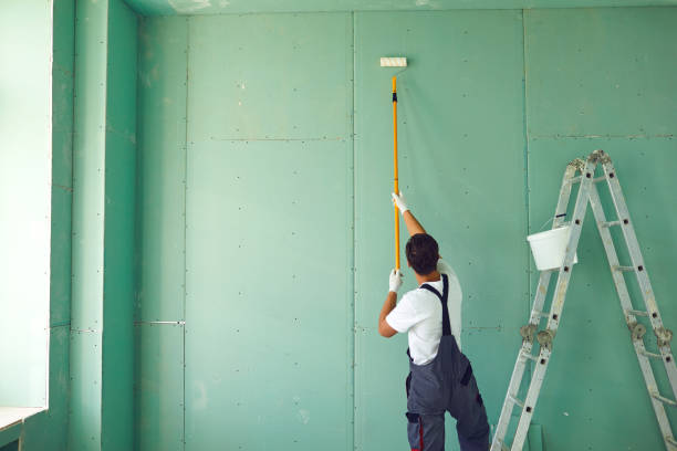 Best Mold Documentation for Insurance Claims  in Jerome, IL