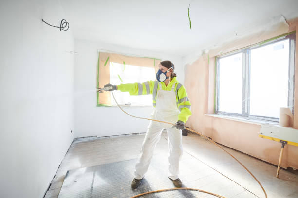 Best Emergency Mold Remediation  in Jerome, IL