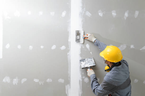 Best Attic Mold Removal  in Jerome, IL