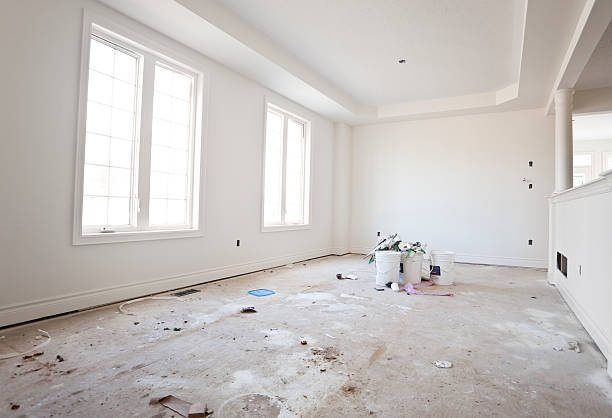 Best Basement Mold Removal  in Jerome, IL