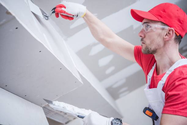Environmental Consulting for Mold Prevention in Jerome, IL